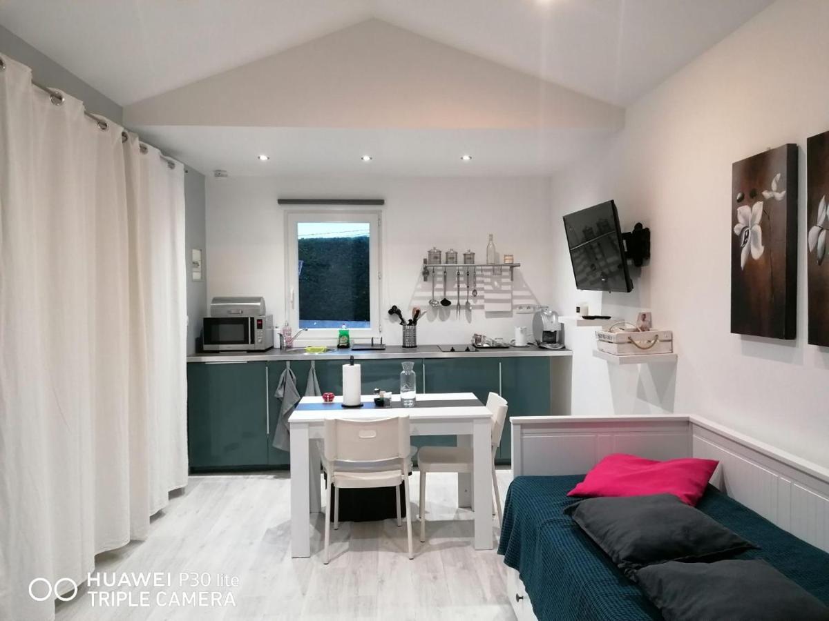 Petit Nid Douillet Apartment Reventin-Vaugris Exterior photo